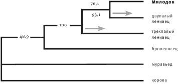 Иллюстрация к книге — Неандерталец. В поисках исчезнувших геномов [_10.jpg]