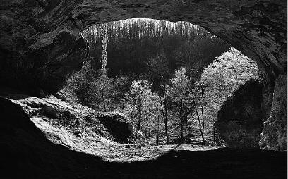 Иллюстрация к книге — Неандерталец. В поисках исчезнувших геномов [_12.jpg]