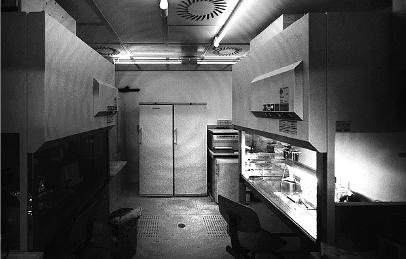 Иллюстрация к книге — Неандерталец. В поисках исчезнувших геномов [_13.jpg]