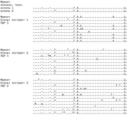 Иллюстрация к книге — Неандерталец. В поисках исчезнувших геномов [_15.jpg]