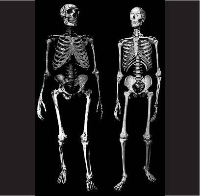 Иллюстрация к книге — Неандерталец. В поисках исчезнувших геномов [_2.jpg]