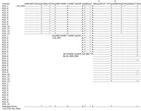 Иллюстрация к книге — Неандерталец. В поисках исчезнувших геномов [_3.jpg]