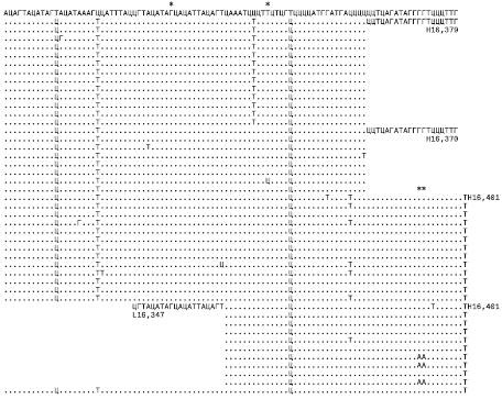 Иллюстрация к книге — Неандерталец. В поисках исчезнувших геномов [_4.jpg]