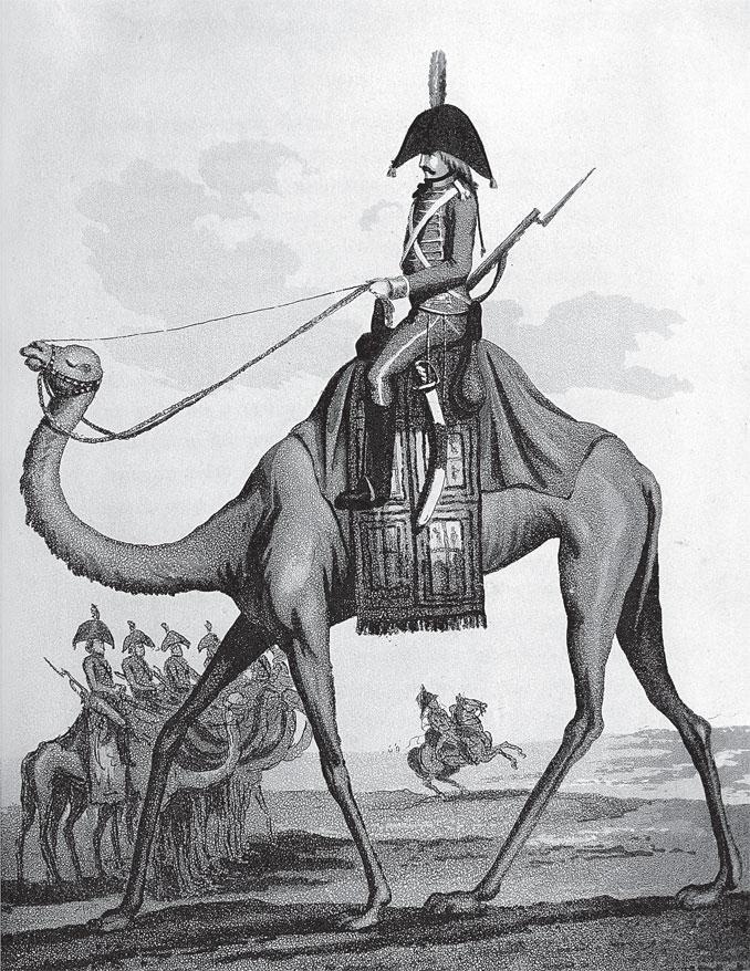 Иллюстрация к книге — История Франции [_161.jpg]