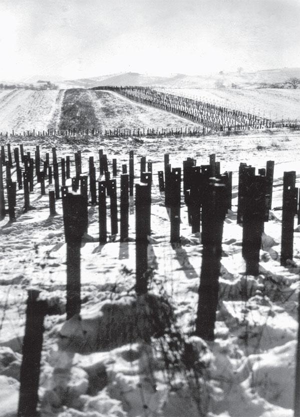 Иллюстрация к книге — История Франции [_300.jpg]