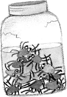 Иллюстрация к книге — Дори и чёрный барашек [i_074.jpg]