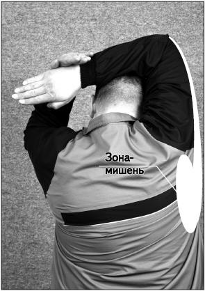 Иллюстрация к книге — Своды Славянской гимнастики [_163.jpg]