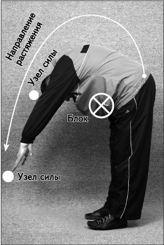 Иллюстрация к книге — Своды Славянской гимнастики [_177.jpg]