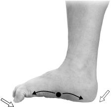 Иллюстрация к книге — Своды Славянской гимнастики [_205.jpg]