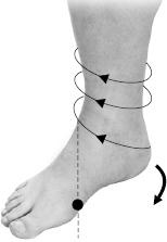 Иллюстрация к книге — Своды Славянской гимнастики [_206.jpg]