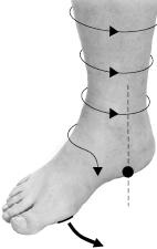 Иллюстрация к книге — Своды Славянской гимнастики [_207.jpg]