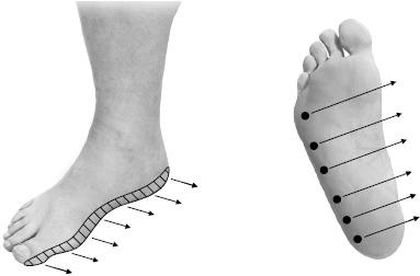 Иллюстрация к книге — Своды Славянской гимнастики [_208.jpg]