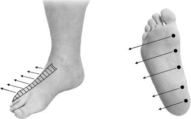 Иллюстрация к книге — Своды Славянской гимнастики [_209.jpg]
