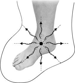 Иллюстрация к книге — Своды Славянской гимнастики [_210.jpg]