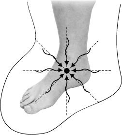 Иллюстрация к книге — Своды Славянской гимнастики [_211.jpg]