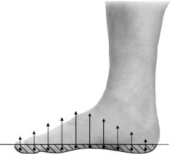 Иллюстрация к книге — Своды Славянской гимнастики [_215.jpg]