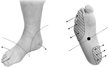 Иллюстрация к книге — Своды Славянской гимнастики [_218.jpg]