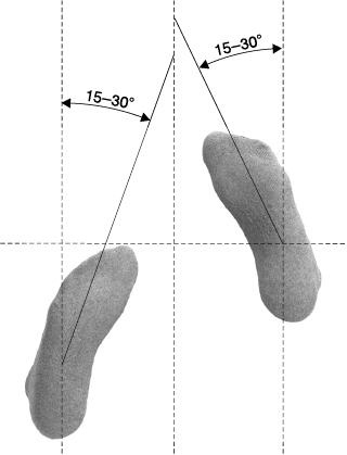 Иллюстрация к книге — Своды Славянской гимнастики [_220.jpg]