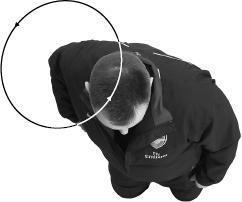 Иллюстрация к книге — Своды Славянской гимнастики [_246.jpg]