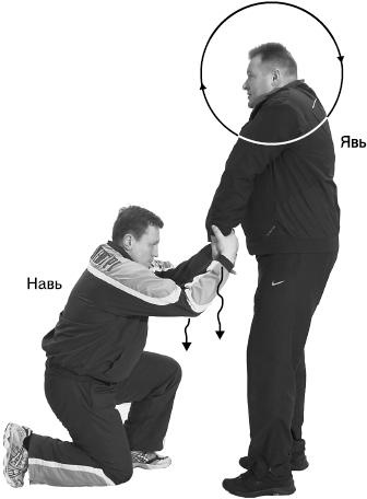 Иллюстрация к книге — Своды Славянской гимнастики [_266.jpg]