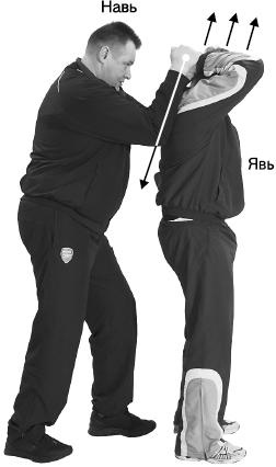 Иллюстрация к книге — Своды Славянской гимнастики [_270.jpg]