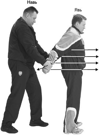 Иллюстрация к книге — Своды Славянской гимнастики [_271.jpg]