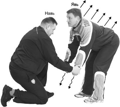 Иллюстрация к книге — Своды Славянской гимнастики [_273.jpg]