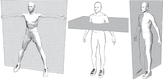 Иллюстрация к книге — Своды Славянской гимнастики [_54.jpg]
