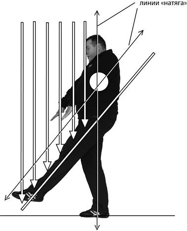 Иллюстрация к книге — Своды Славянской гимнастики [_83.jpg]