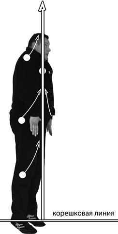 Иллюстрация к книге — Своды Славянской гимнастики [_96.jpg]