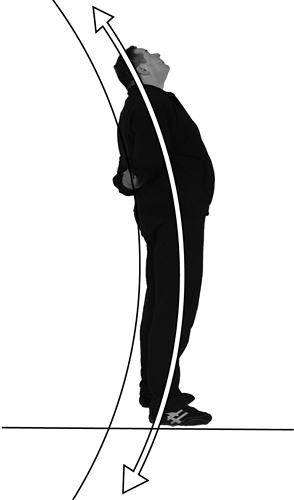 Иллюстрация к книге — Своды Славянской гимнастики [_97.jpg]