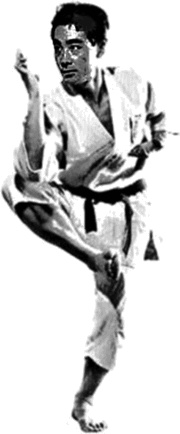 Иллюстрация к книге — Энциклопедия каратэ. История и философия, теория и практика, педагогические принципы и методики обучения [_113_fmt.jpg]