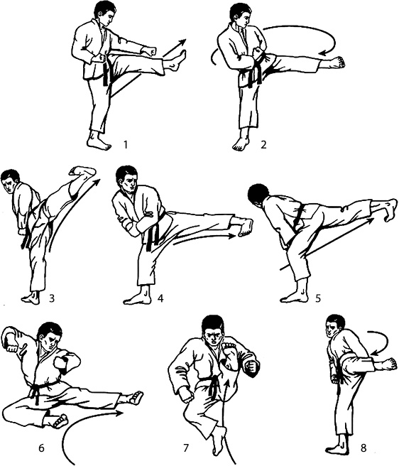 Иллюстрация к книге — Энциклопедия каратэ. История и философия, теория и практика, педагогические принципы и методики обучения [_116786.jpg]