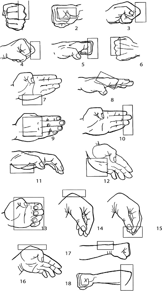 Иллюстрация к книге — Энциклопедия каратэ. История и философия, теория и практика, педагогические принципы и методики обучения [_116846.jpg]