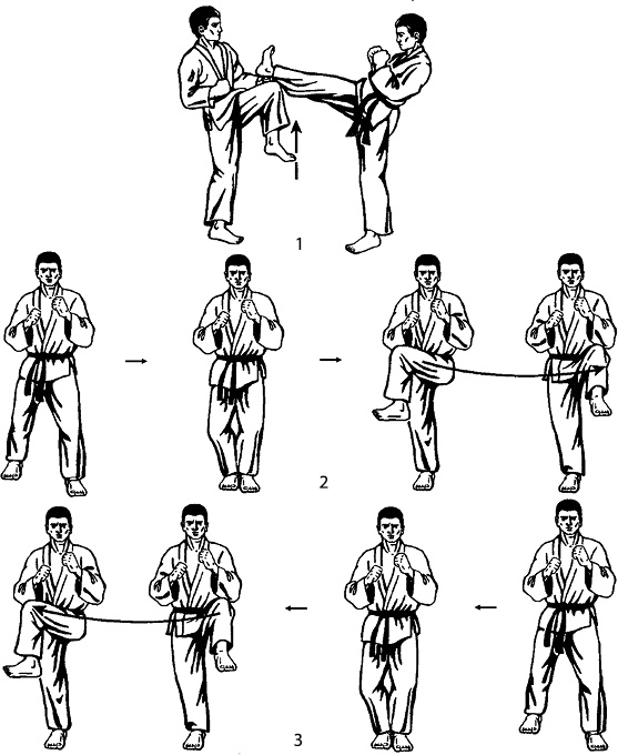 Иллюстрация к книге — Энциклопедия каратэ. История и философия, теория и практика, педагогические принципы и методики обучения [_116902.jpg]