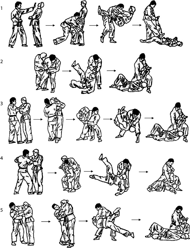 Иллюстрация к книге — Энциклопедия каратэ. История и философия, теория и практика, педагогические принципы и методики обучения [_116924.jpg]