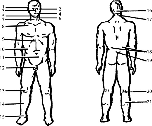 Иллюстрация к книге — Энциклопедия каратэ. История и философия, теория и практика, педагогические принципы и методики обучения [_117220.jpg]