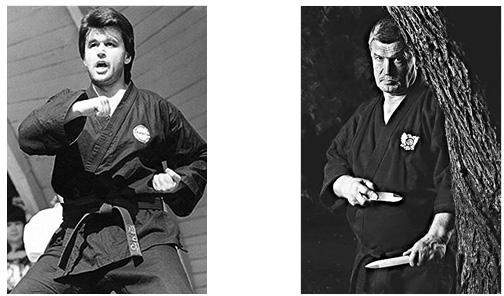 Иллюстрация к книге — Энциклопедия каратэ. История и философия, теория и практика, педагогические принципы и методики обучения [_117886.jpg]