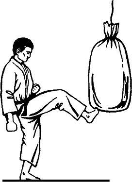 Иллюстрация к книге — Энциклопедия каратэ. История и философия, теория и практика, педагогические принципы и методики обучения [_55_fmt.jpg]