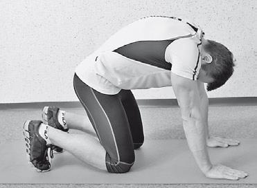 Иллюстрация к книге — Уникальная гимнастика «Умная вода» для спины и суставов [i_182.jpg]