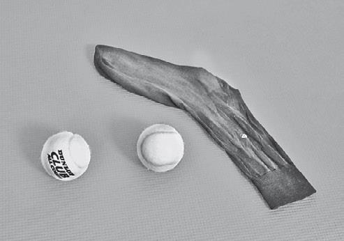 Иллюстрация к книге — Уникальная гимнастика «Умная вода» для спины и суставов [i_278.jpg]