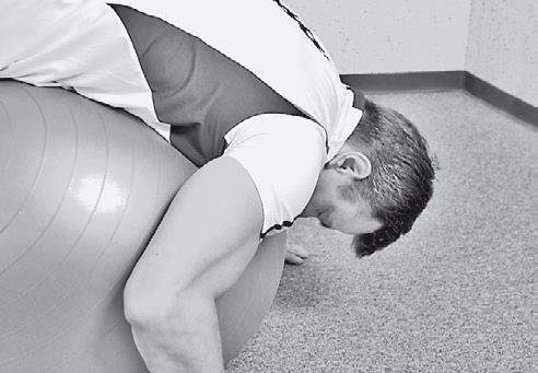 Иллюстрация к книге — Уникальная гимнастика «Умная вода» для спины и суставов [i_304.jpg]