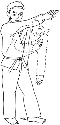 Иллюстрация к книге — Кодекс самурая. Запретная книга Силы [i_001.jpg]