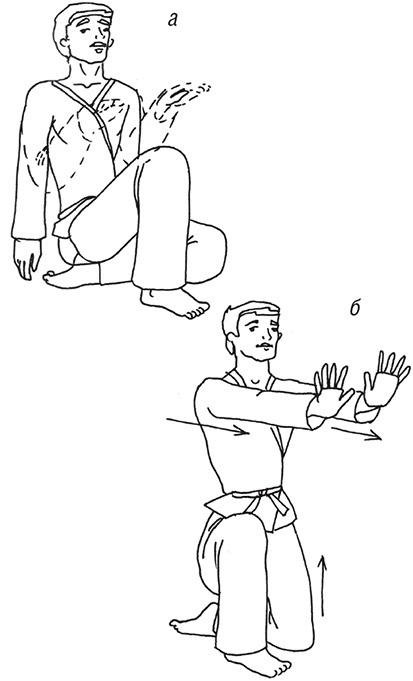 Иллюстрация к книге — Кодекс самурая. Запретная книга Силы [i_013.jpg]