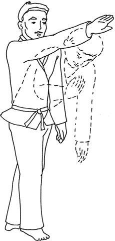 Иллюстрация к книге — Кодекс самурая. Запретная книга Силы [i_014.jpg]