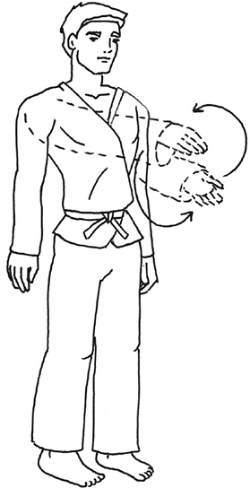 Иллюстрация к книге — Кодекс самурая. Запретная книга Силы [i_020.jpg]