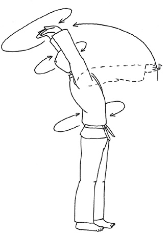 Иллюстрация к книге — Кодекс самурая. Запретная книга Силы [i_025.jpg]