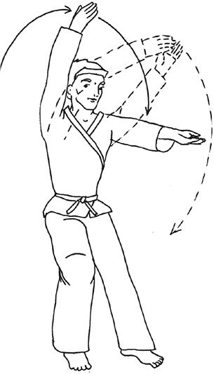 Иллюстрация к книге — Кодекс самурая. Запретная книга Силы [i_026.jpg]