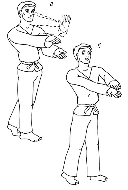 Иллюстрация к книге — Кодекс самурая. Запретная книга Силы [i_030.jpg]