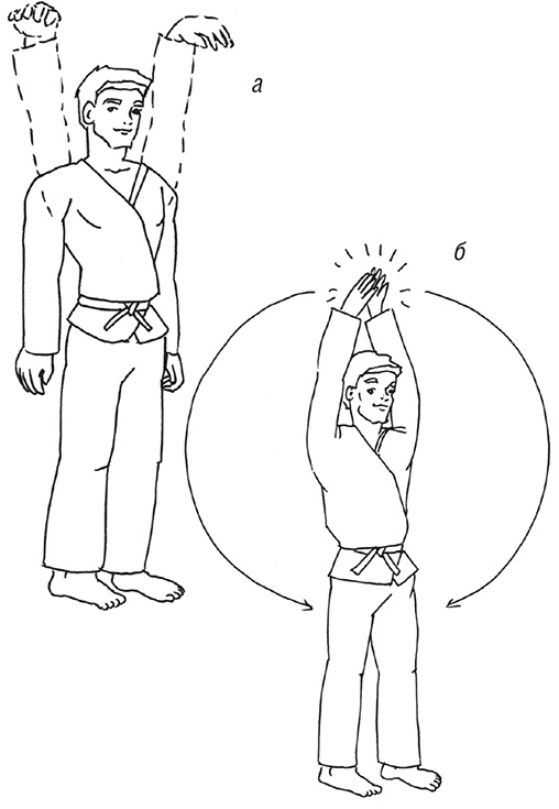 Иллюстрация к книге — Кодекс самурая. Запретная книга Силы [i_031.jpg]